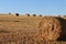 Beautiful picture of the field harvesting the grain