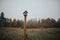 Beautiful picture of a wooden birdhouse against foliage trees in fog in autumn