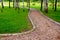 Beautiful picturesque footpath in the forest. Dirt road in a birchwood