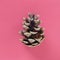 Beautiful pine cone on a red background. New Year and Christmas decorations. Spruce or pine cone close up.