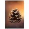 Beautiful pine forest cone on a festive background  Christmas lights vector art