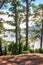 Beautiful Pine forests in the mountains of La Palma, Canary Islands, Spain. Peaceful landscape with tall trees with lush