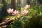 Beautiful pink anemone flowers in the forest, close up