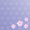 Beautiful pink blooming sakura flowers on purple background