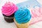 Beautiful Pink and Blue Muffins with Miniature Baby Bottles and Soothers