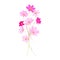 Beautiful pink cute flowers isolated on a white background