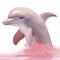 A beautiful pink dolphin on white background generative AI