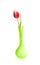 Beautiful pink Dutch tulip in green vase