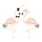 Beautiful pink flamingo couple wedding card