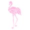 Beautiful pink flamingo silhouette, decorative logo, vector illustration