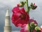 A beautiful pink flower in front of a minaret in Russia - RUSSIA - MINARET
