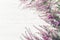 Beautiful pink flower heather frame calluna vulgaris, erica, ling on white rustic background top view.