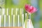 Beautiful pink flower in laboratory glass flask against blurred test tubes, closeup. Space for text