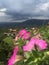 Beautiful pink flowers in hanging pots, views of the sky and mountains.