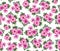 Beautiful pink flowers lavatera. Delicate bouquet of flowers Beautiful pink flowers lavatera. Delicate bouquet of flowers on white