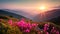 Beautiful pink flowers on mountains at sunset