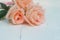 Beautiful pink fresh rose on white background, living coral tone valentine concept, copy space