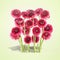 Beautiful pink gerbera flowers bunch standing on pale green background with sunlight. Group of blooming garden flowers. Spring and