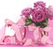 Beautiful pink gift and roses on pink and white background with copy space