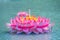 Beautiful pink kratong is floating on the water. Conccept for lo