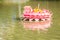 Beautiful pink kratong is floating on the water. Conccept for lo