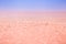 Beautiful pink lake background. salt crystals in the lake