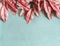 Beautiful pink leaves border on pastel blue background , top view, flat lay