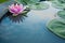 Beautiful Pink Lotus, water plant with reflection in a pond