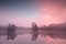 Beautiful pink misty sunrise over wild lake