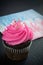 Beautiful Pink Muffin, Miniature Baby Bottles and Soothers with Baby Girl or Boy Napkin