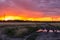 Beautiful pink and orange sunset in the field. A fiery, bright sunset