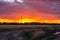 Beautiful pink and orange sunset in the field. A fiery, bright sunset