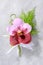 Beautiful pink orchid corsage