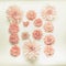 Beautiful pink pastel flowers composing on beige background, top view