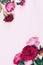 Beautiful pink peony flowers with hard shadow on pastel background, copy space. Trendy pattern, summer concept. Top view