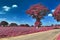 Beautiful pink and purple infrared shots of country landscapes in europe