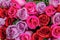 Beautiful pink and red roses flowers at a parisian flower store