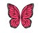 Beautiful pink reddish butterfly wings for wall decoration isolated on white background - vector