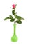 Beautiful pink rose in green vase