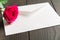 Beautiful pink rose lying on white envelope. Romantic sign with love letter