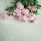 Beautiful pink, rose peonies on wood plate