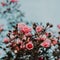 A beautiful pink rose with small numerous buds on a branch in the blue sky. Pink Floral background