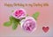 Beautiful pink roses birthday greetings card