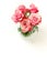 Beautiful pink roses bouquet in a  vase isolated