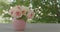 Beautiful pink roses of the Eden Rose variety Pierre de Ronsard - close-up. Selective focus.