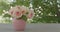 Beautiful pink roses of the Eden Rose variety Pierre de Ronsard - close-up. Selective focus.