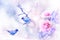 Beautiful pink roses and small purple and blue fantastic birds in the snow and frost. Artistic spring and winter natural image. Se