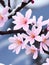 beautiful pink sakura flowers in the garden with snow, AI generated