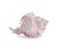 Beautiful pink sea shell isolated