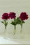 Beautiful pink spring peonies in vases in white wooden table.